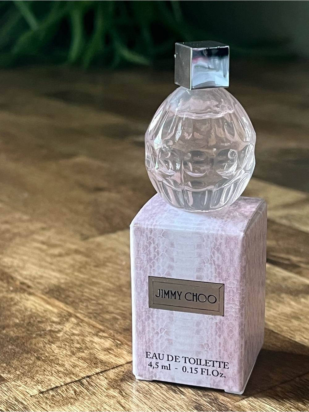 Jimmy Choo Women’s Dabber